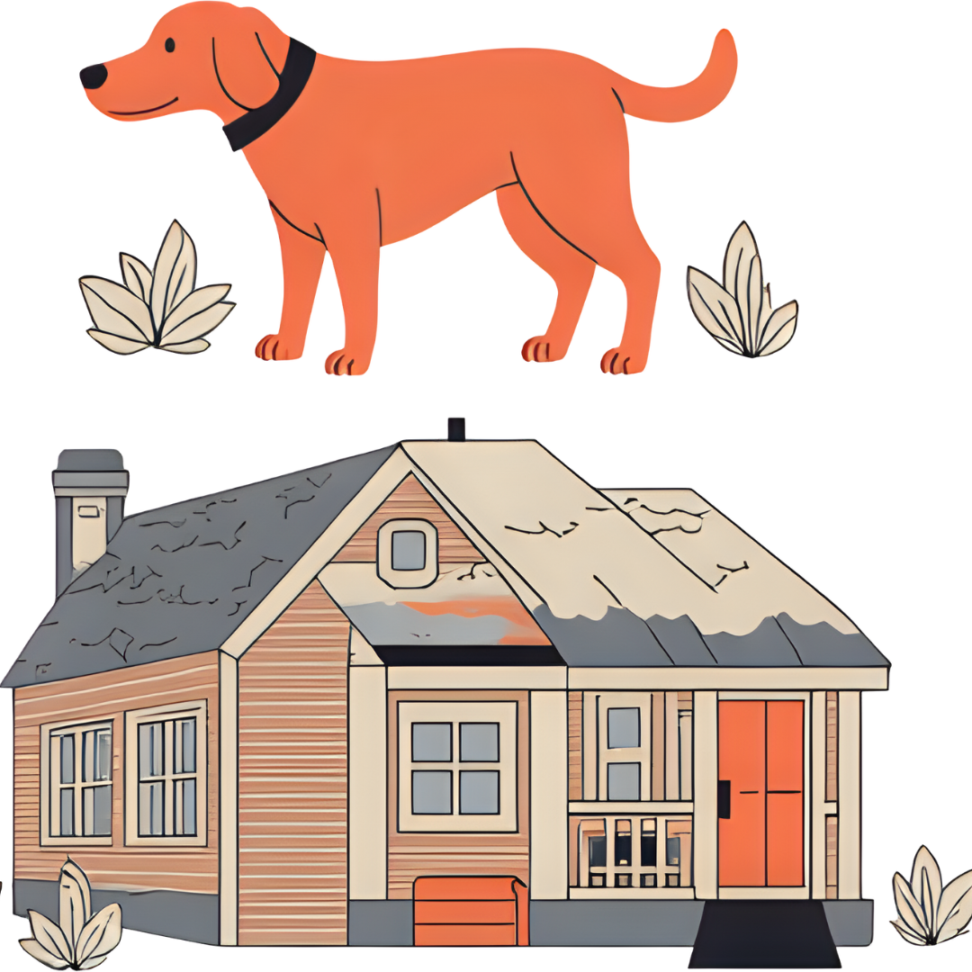 Dog Friendly Places to Stay in Vermont